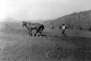 Alec Thompson with horses Cody and Dolly - Tuolmne Rancheria early 1920's